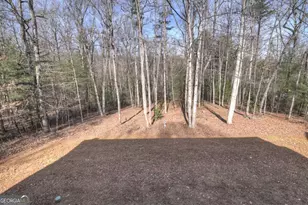 520 Copperhead Rd, Blairsville, GA 30512 - Photo 36