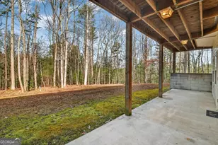 520 Copperhead Rd, Blairsville, GA 30512 - Photo 42