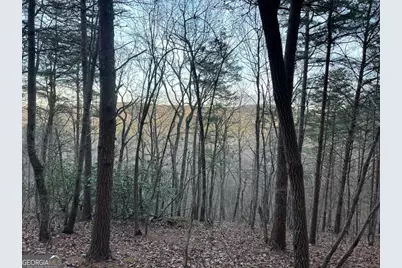 810 Bagwell Trail, Waleska, GA 30183 - Photo 4
