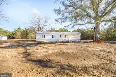 1169 Chester Alamo Road, Chester, GA 31012 - Photo 8