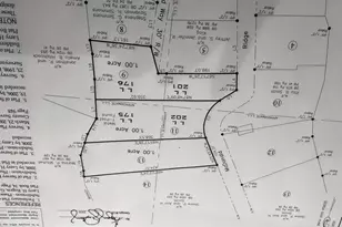 0 McDonald Ridge, Tallapoosa, GA 30176 - Photo 1
