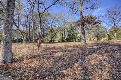 22676 Highway 11 N, Mansfield, GA 30055 - Photo 46