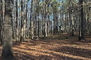 202 S Taylor Rd, Talbotton, GA 31827 - Photo 30