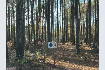 202 S Taylor Road, Talbotton, GA 31827 - Photo 12