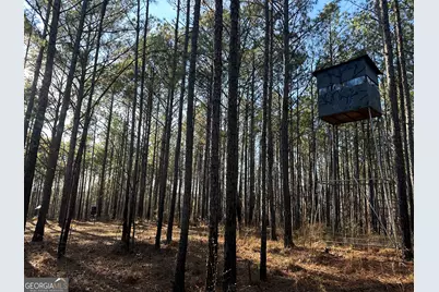 202 S Taylor Road, Talbotton, GA 31827 - Photo 20