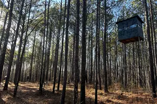 202 S Taylor Rd, Talbotton, GA 31827 - Photo 20