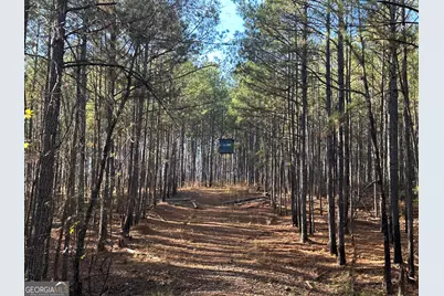 202 S Taylor Road, Talbotton, GA 31827 - Photo 22