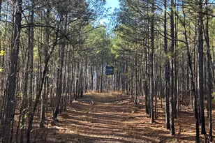 202 S Taylor Rd, Talbotton, GA 31827 - Photo 22