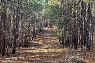 202 S Taylor Rd, Talbotton, GA 31827 - Photo 18