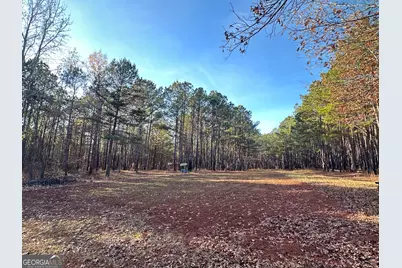 202 S Taylor Road, Talbotton, GA 31827 - Photo 16