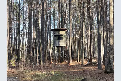 202 S Taylor Road, Talbotton, GA 31827 - Photo 28