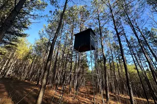 202 S Taylor Rd, Talbotton, GA 31827 - Photo 24