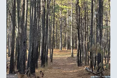 202 S Taylor Road, Talbotton, GA 31827 - Photo 26