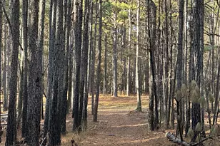 202 S Taylor Rd, Talbotton, GA 31827 - Photo 26