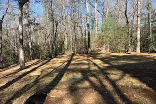 37 Begonia Courts, Clayton, GA 30525 - Photo 28