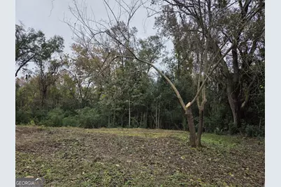 0 Mosley Street, Savannah, GA 31404 - Photo 6