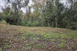 0 Mosley St, Savannah, GA 31404 - Photo 1