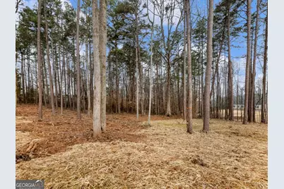 5230 Bogus Road, Gainesville, GA 30506 - Photo 38