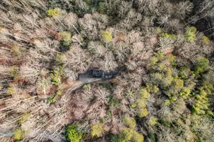 62 Dogwood Trail, Dahlonega, GA 30533 - Photo 30