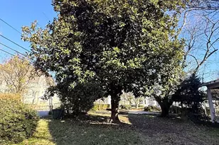 115 S Thomas St, Elberton, GA 30635 - Photo 24