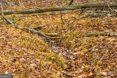 170 Ross Drive, Mineral Bluff, GA 30559 - Photo 28