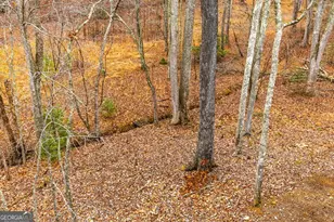 170 Ross Dr, Mineral Bluff, GA 30559 - Photo 14