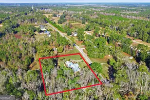 863 N Macon St, Ludowici, GA 31316 - Photo 46