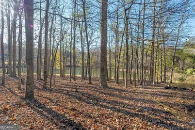 117 Martins Pond Road, Newnan, GA 30263 - Photo 56