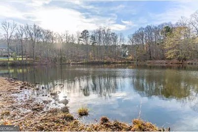 117 Martins Pond Road, Newnan, GA 30263 - Photo 60