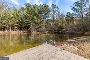 49 Lagrange Hwy, Greenville, GA 30222 - Photo 72