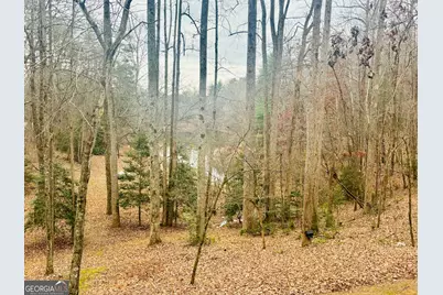 1048 Echota Road, Clarkesville, GA 30523 - Photo 32