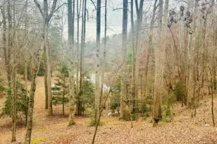 1048 Echota Rd, Clarkesville, GA 30523 - Photo 32