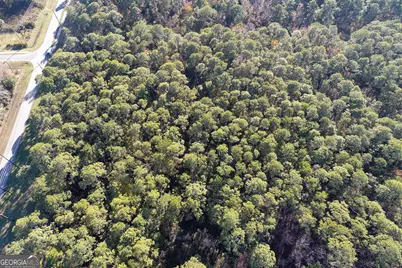0 St. Patrick, Saint Marys, GA 31558 - Photo 4