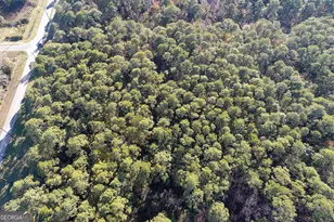 0 St Patrick, Saint Marys, GA 31558 - Photo 4