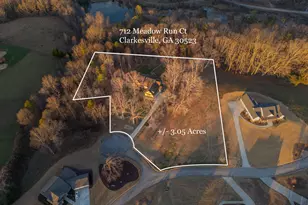 712 Meadow Run Ct, Clarkesville, GA 30523 - Photo 96