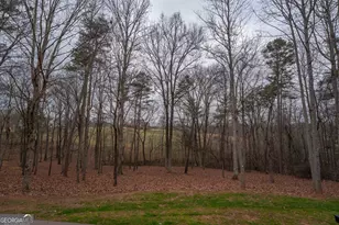 712 Meadow Run Ct, Clarkesville, GA 30523 - Photo 76