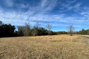 5401 Union Point Hwy, Union Point, GA 30669 - Photo 50