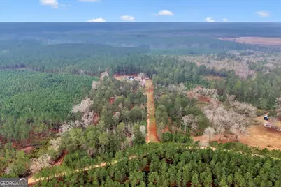 200 George Gray Road, Danville, GA 31017 - Photo 66