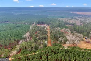 200 George Gray Rd, Danville, GA 31017 - Photo 66