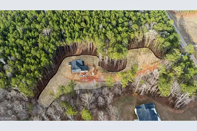 3921 Peeksville Road #(LOT 6), Locust Grove, GA 30248 - Photo 8