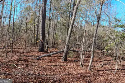 0 Hamilton Road, Grovetown, GA 30813 - Photo 4