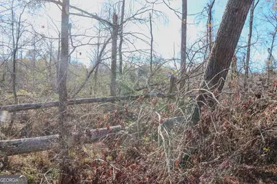 0 Hamilton Road, Grovetown, GA 30813 - Photo 14