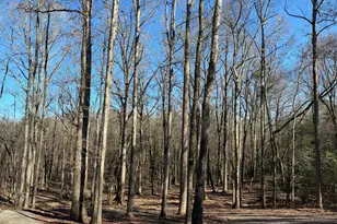 1685 Hwy 54 E, Fayetteville, GA 30214 - Photo 36