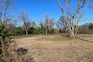 1100 Church Hill Rd, Preston, GA 31824 - Photo 14