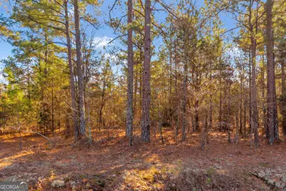 0 Mauldin Road, Elberton, GA 30635 - Photo 6