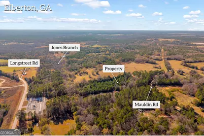 0 Mauldin Road, Elberton, GA 30635 - Photo 8