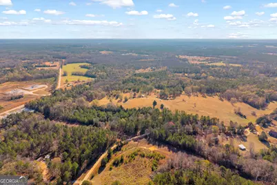 0 Mauldin Road, Elberton, GA 30635 - Photo 2