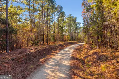 0 Mauldin Road, Elberton, GA 30635 - Photo 4