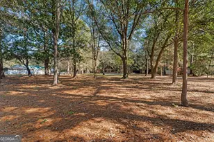 65 Stubbs Ln, Ellabell, GA 31308 - Photo 42