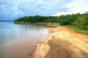 412 Eglington Tr, Locust Grove, GA 30248 - Photo 42